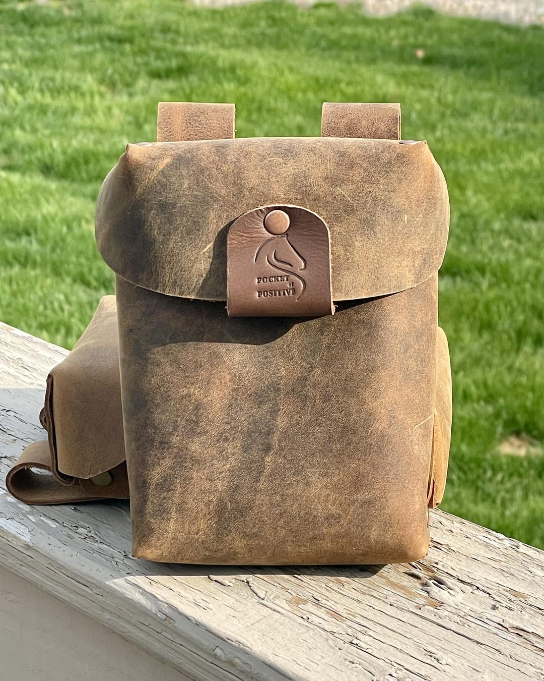 "Pocket of Positive" Treat Pouch