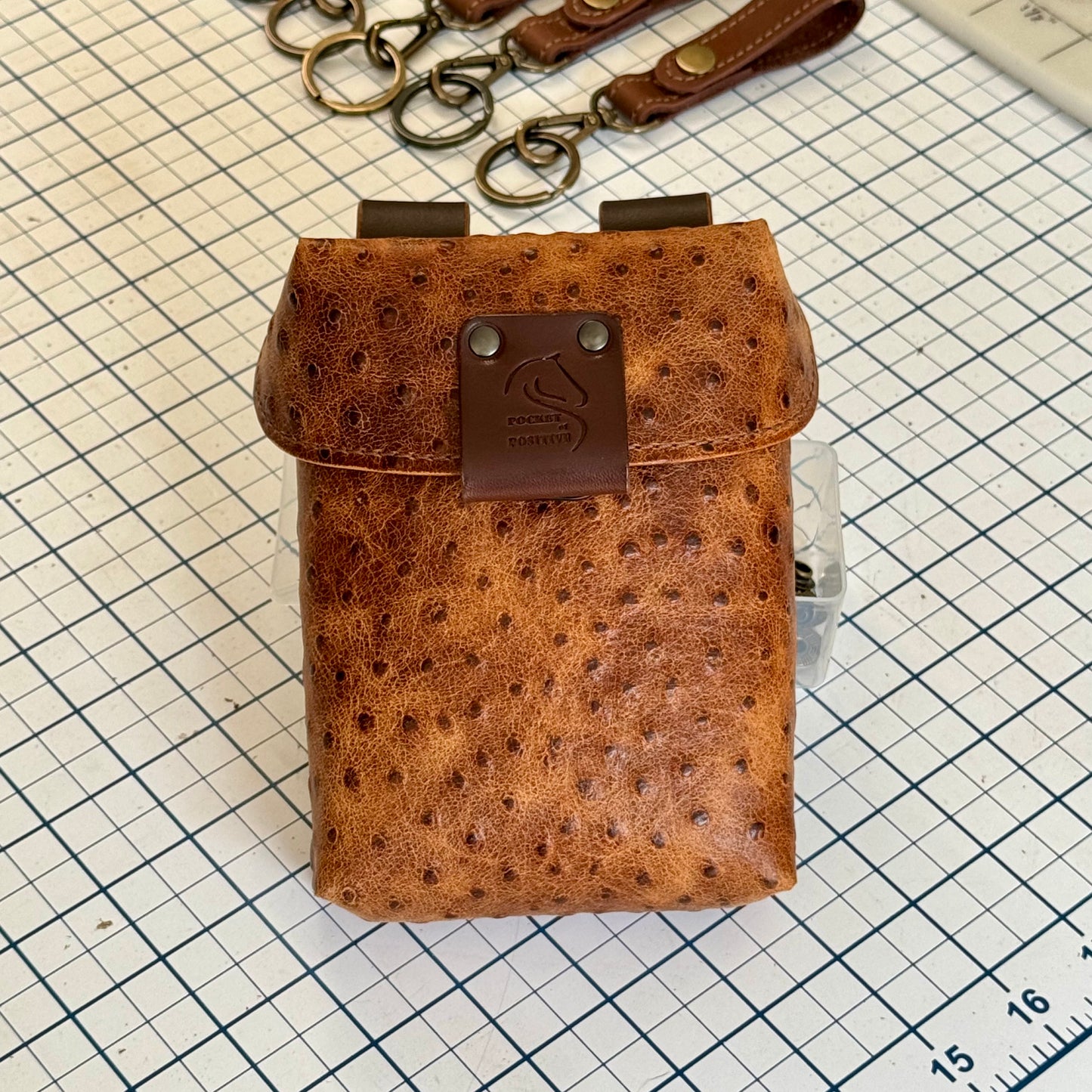 "Pocket of Positive" Special Edition Treat Pouch