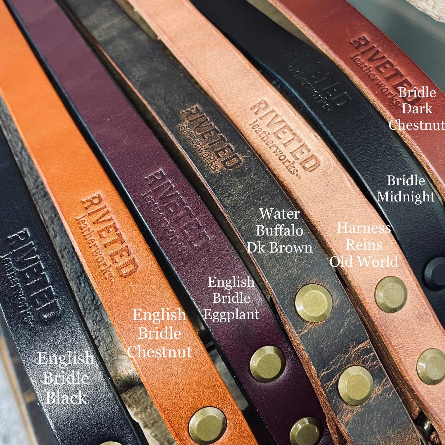 3/4" Classic Leash - Light Weight Midnight Bridle