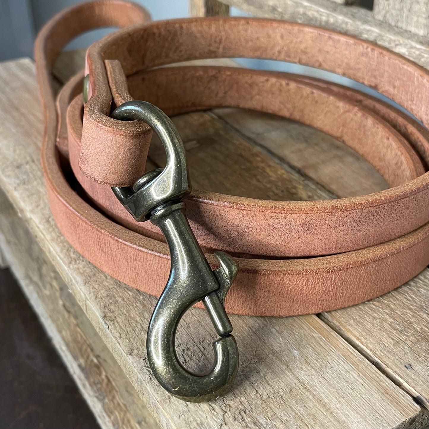 3/4" Classic Leash - Heavy Weight Harness