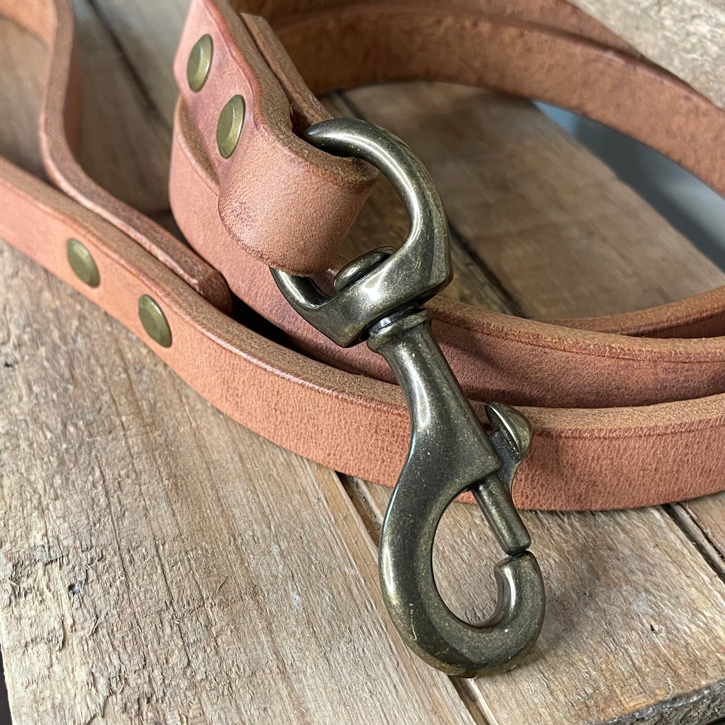 3/4" Classic Leash - Heavy Weight Harness